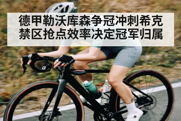 德甲勒沃库森争冠冲刺希克禁区抢点效率决定冠军归属